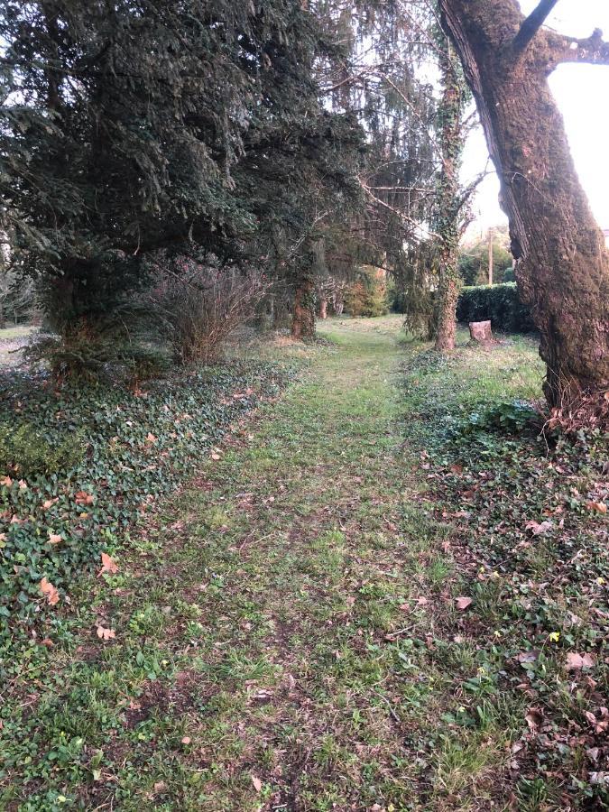 Marsac-sur-l'Isle La Maison Au Cedre المظهر الخارجي الصورة