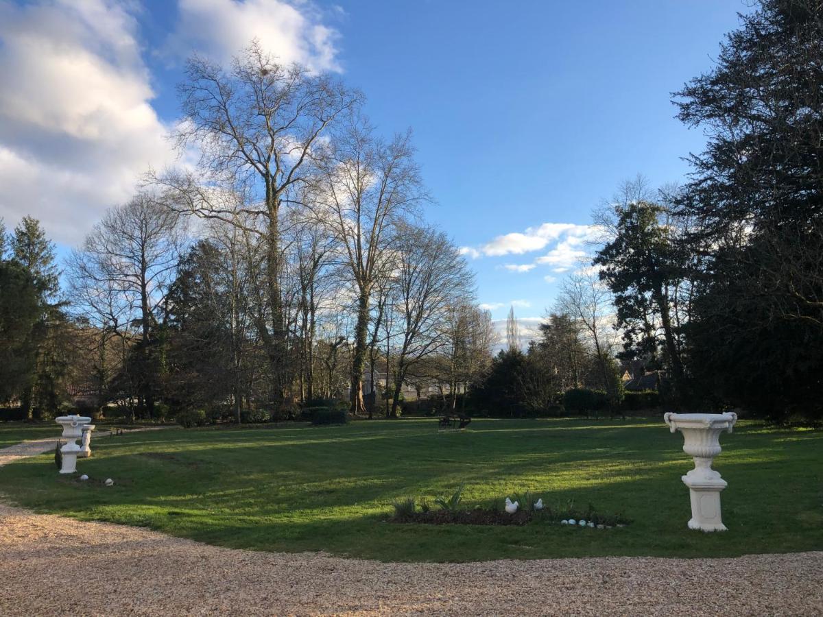 Marsac-sur-l'Isle La Maison Au Cedre المظهر الخارجي الصورة